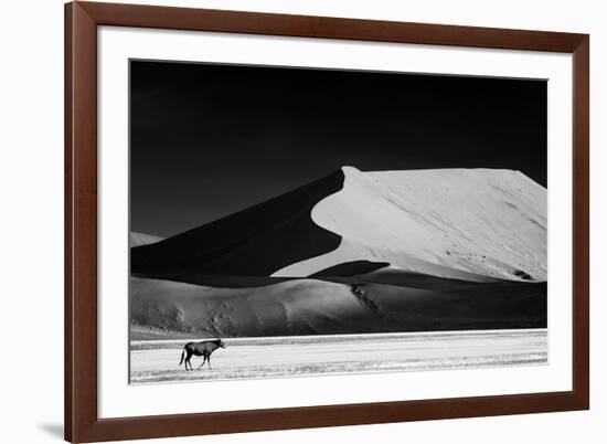 The Solitary-Mathilde Guillemot-Framed Photographic Print