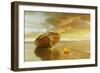 The Solitude of the Sea II-Carlos Casamayor-Framed Giclee Print