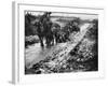 The Somme 1916-Robert Hunt-Framed Photographic Print