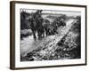 The Somme 1916-Robert Hunt-Framed Photographic Print