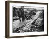 The Somme 1916-Robert Hunt-Framed Photographic Print