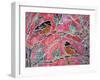 The Song of the Orioles-Lauren Moss-Framed Giclee Print