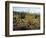 The Sonoran Desert at Sunrise-James Randklev-Framed Photographic Print