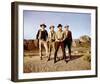 The Sons of Katie Elder-null-Framed Photo