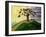 The Sorrow Tree-Chris Ross Williamson-Framed Giclee Print