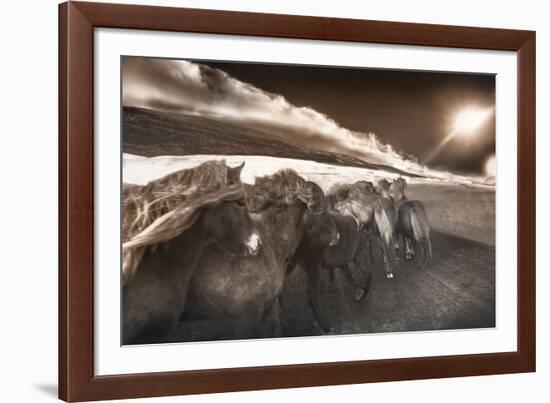 The Sorting-Bobbie Goodrich-Framed Giclee Print