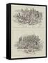 The Soudan Rebellion-William T. Maud-Framed Stretched Canvas