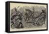 The Soudan, the 19th Hussars Charging the Enemy at the Second Battle of Teb, 29 February-Frederic Villiers-Framed Stretched Canvas