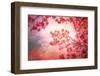 The Soul Becomes Dyed With The Color Of Its Thoughts-Philippe Sainte-Laudy-Framed Photographic Print