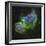 The Soul Nebula-Stocktrek Images-Framed Photographic Print