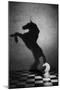 The Soul of a Mustang-Victoria Ivanova-Mounted Photographic Print