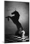 The Soul of a Mustang-Victoria Ivanova-Mounted Photographic Print