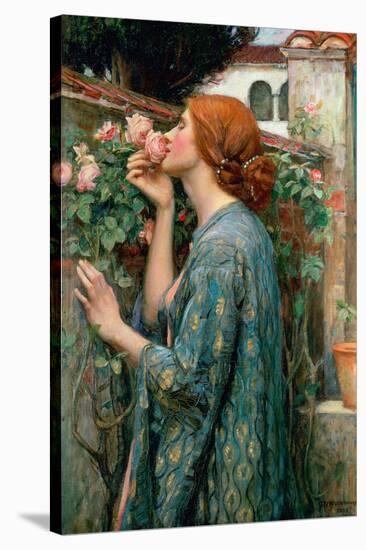 The Soul of the Rose, 1908-John William Waterhouse-Stretched Canvas