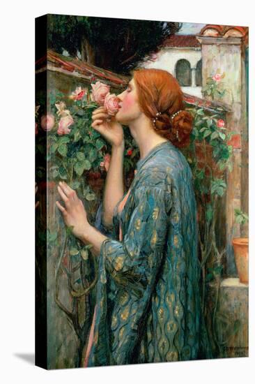 The Soul of the Rose, 1908-John William Waterhouse-Stretched Canvas