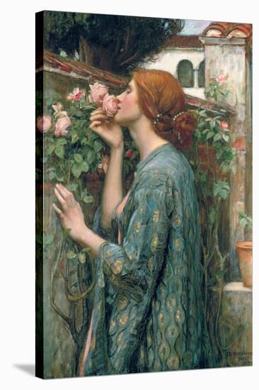 The Soul of the Rose, 1908-John William Waterhouse-Stretched Canvas