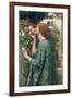 The Soul of the Rose, 1908-John William Waterhouse-Framed Art Print