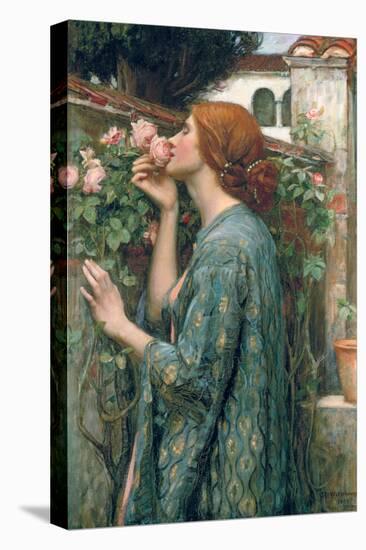 The Soul of the Rose, 1908-John William Waterhouse-Stretched Canvas