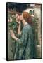 The Soul of the Rose, 1908-John William Waterhouse-Framed Stretched Canvas