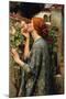 The Soul of the Rose-John William Waterhouse-Mounted Art Print