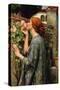 The Soul of the Rose-John William Waterhouse-Stretched Canvas