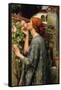 The Soul of the Rose-John William Waterhouse-Framed Stretched Canvas