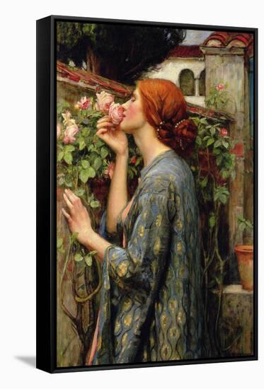 The Soul of the Rose-John William Waterhouse-Framed Stretched Canvas