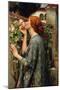 The Soul of the Rose-John William Waterhouse-Mounted Premium Giclee Print