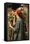 The Soul of the Rose-John William Waterhouse-Framed Stretched Canvas