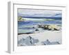 The Sound of Mull from Iona, c. 1932-Francis Campbell Boileau Cadell-Framed Giclee Print