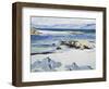 The Sound of Mull from Iona, c. 1932-Francis Campbell Boileau Cadell-Framed Giclee Print