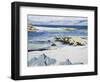 The Sound of Mull from Iona-Francis Campbell Cadell-Framed Giclee Print