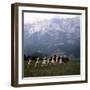 The Sound of Music, 1965-null-Framed Premium Photographic Print