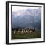 The Sound of Music, 1965-null-Framed Premium Photographic Print