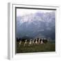 The Sound of Music, 1965-null-Framed Premium Photographic Print