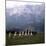 The Sound of Music, 1965-null-Mounted Premium Photographic Print