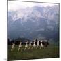 The Sound of Music, 1965-null-Mounted Photo