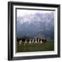 The Sound of Music, 1965-null-Framed Photo