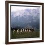 The Sound of Music, 1965-null-Framed Premium Photographic Print