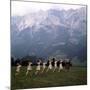 The Sound of Music, 1965-null-Mounted Premium Photographic Print