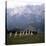 The Sound of Music, 1965-null-Stretched Canvas