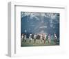 The Sound of Music-null-Framed Photo