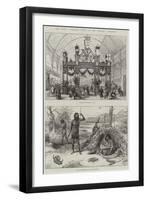 The South Australian Court at the Colonial Exhibition-null-Framed Giclee Print