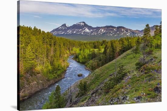 The South Fork of the Two Medicine River in the Lewis and Clark National Forest, Montana, USA-Chuck Haney-Stretched Canvas