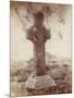 The South High Cross, Kells, Co. Meath, Ireland (Sepia Photo)-Robert French-Mounted Giclee Print