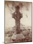 The South High Cross, Kells, Co. Meath, Ireland (Sepia Photo)-Robert French-Mounted Giclee Print