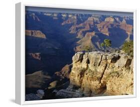 The South Rim of the Grand Canyon, Arizona, USA-Fraser Hall-Framed Photographic Print