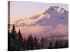 The South Sister at sunset, Deschutes National Forest, Oregon, USA-Charles Gurche-Stretched Canvas