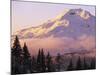 The South Sister at sunset, Deschutes National Forest, Oregon, USA-Charles Gurche-Mounted Photographic Print