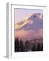 The South Sister at sunset, Deschutes National Forest, Oregon, USA-Charles Gurche-Framed Photographic Print