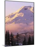 The South Sister at sunset, Deschutes National Forest, Oregon, USA-Charles Gurche-Mounted Photographic Print